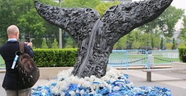 Clean Seas campaign