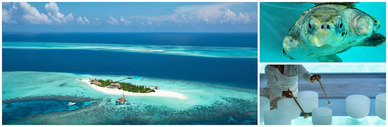 Four Seasons Private Island: The evolution of luxury resort collection to marine conservation pioneers
