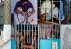 Can't ignore, the prisoners deaths