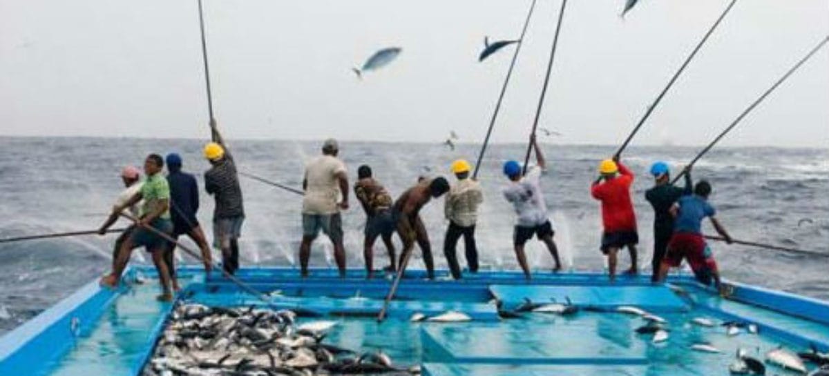 Hundreds of non-Maldivian fishing vessels operating illegally
