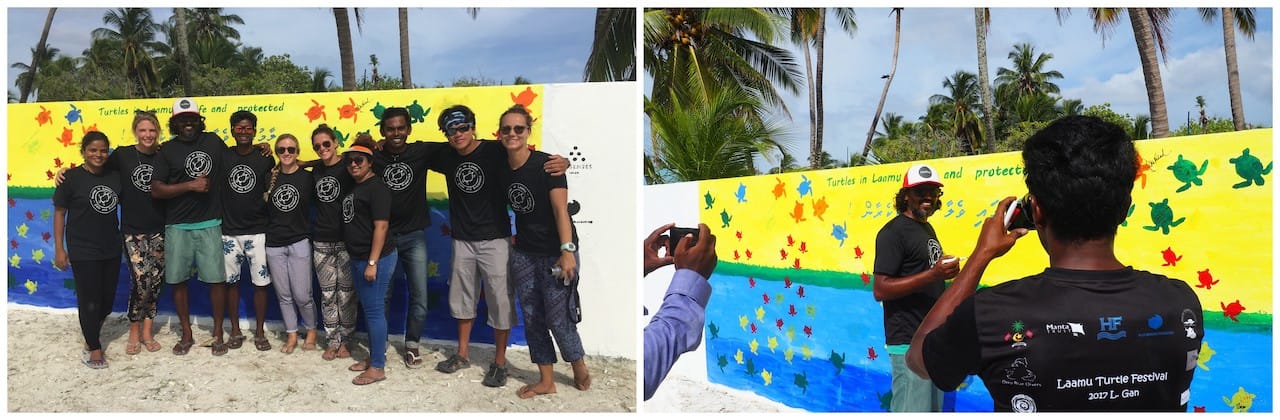 Turtles in Laamu – safe and protected – again