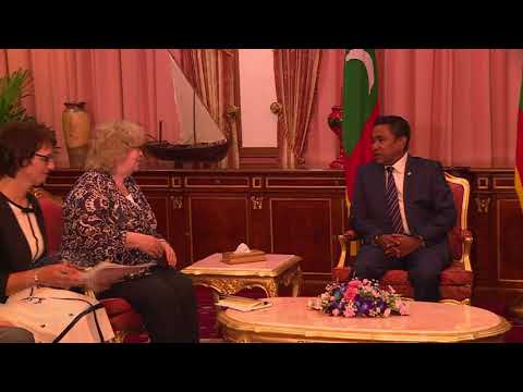 Delegation of the European Union pays a courtesy call on the President