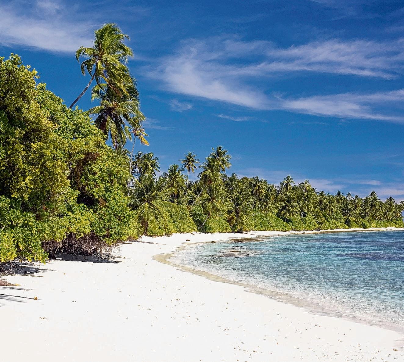  The family were enjoying a luxurious holiday in the Maldives when Max was found in a swimming pool