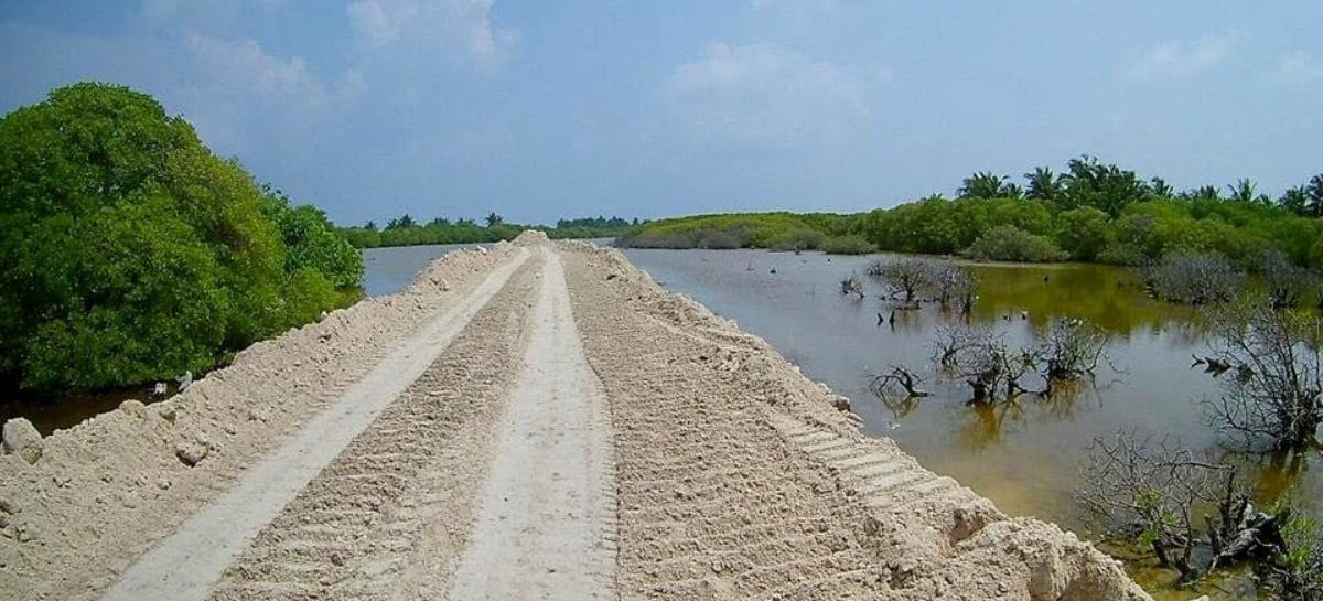 NGOs slam ‘careless sacrifice’ of Kulhudhuffushi mangroves