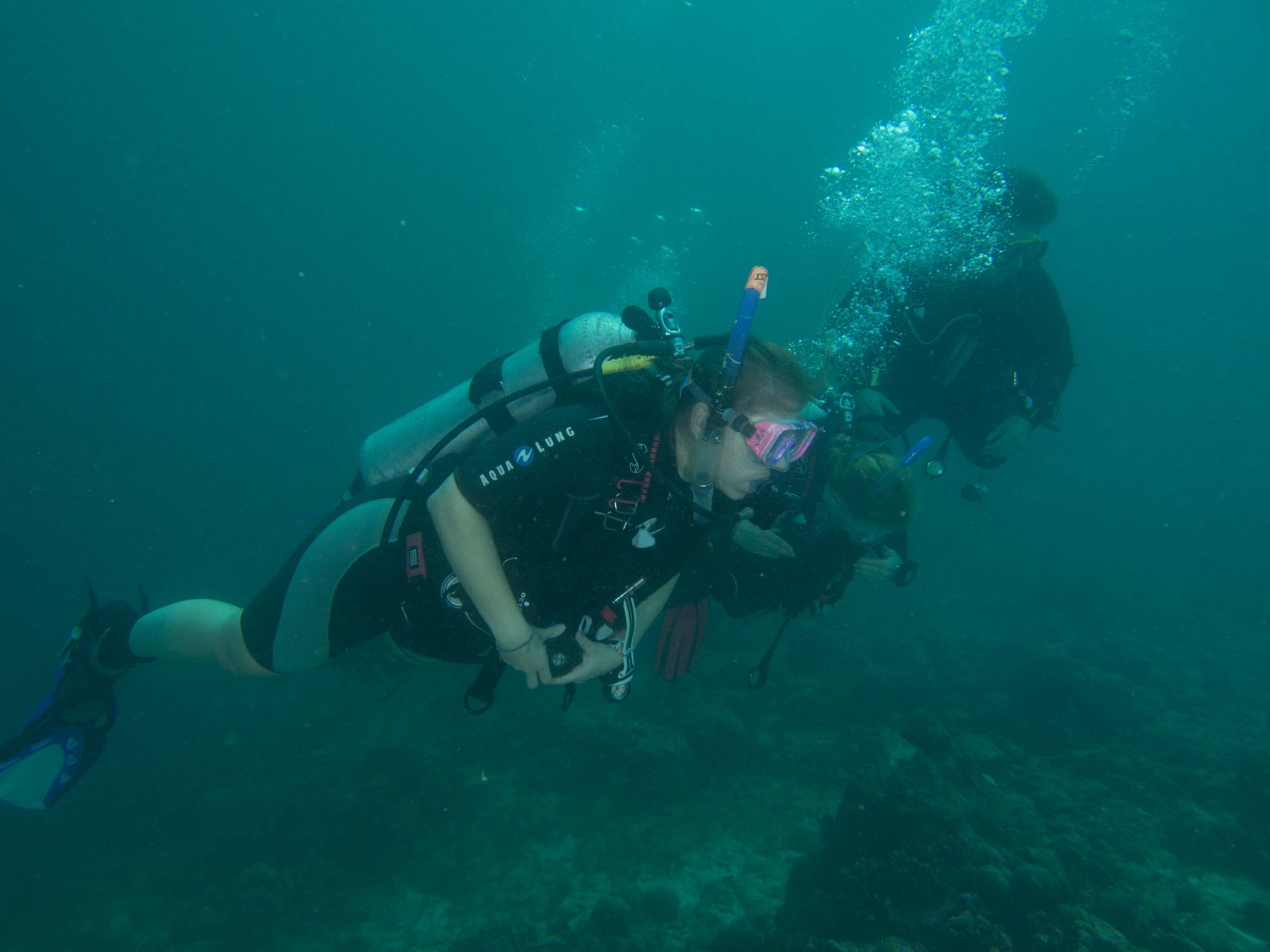 Dive with a purpose and contribute towards the environmental sustainability and coral reef protection.