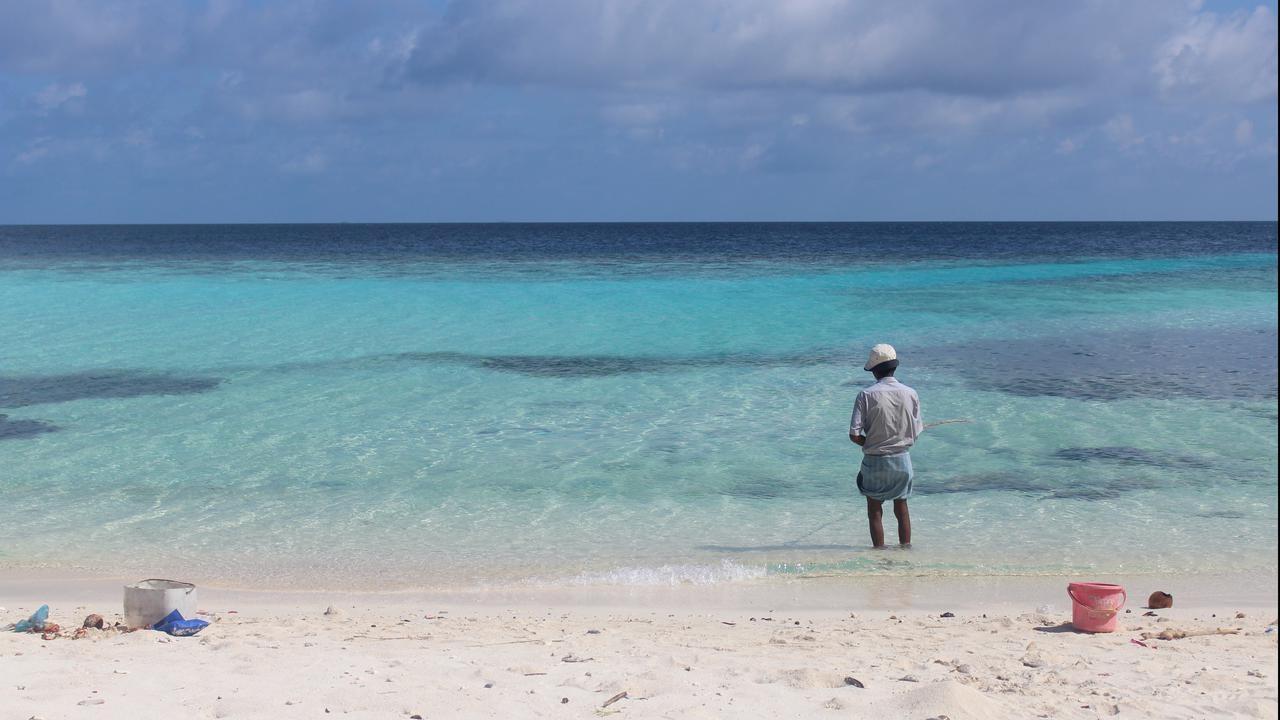 Life washes up on Maldives’ local islands