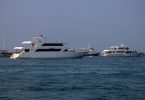 Safari liveaboard