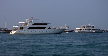 Safari liveaboard