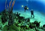 Scuba Diving