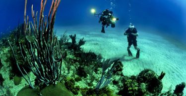 Scuba Diving