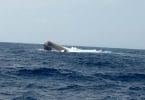 The barge "Kurimagu" of MTCC, carrying 3,300 tonnes of aggregate to HDh Kulhudhuffushi, capsized after it was caught in a storm. PHOTO/READER