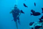 diver
