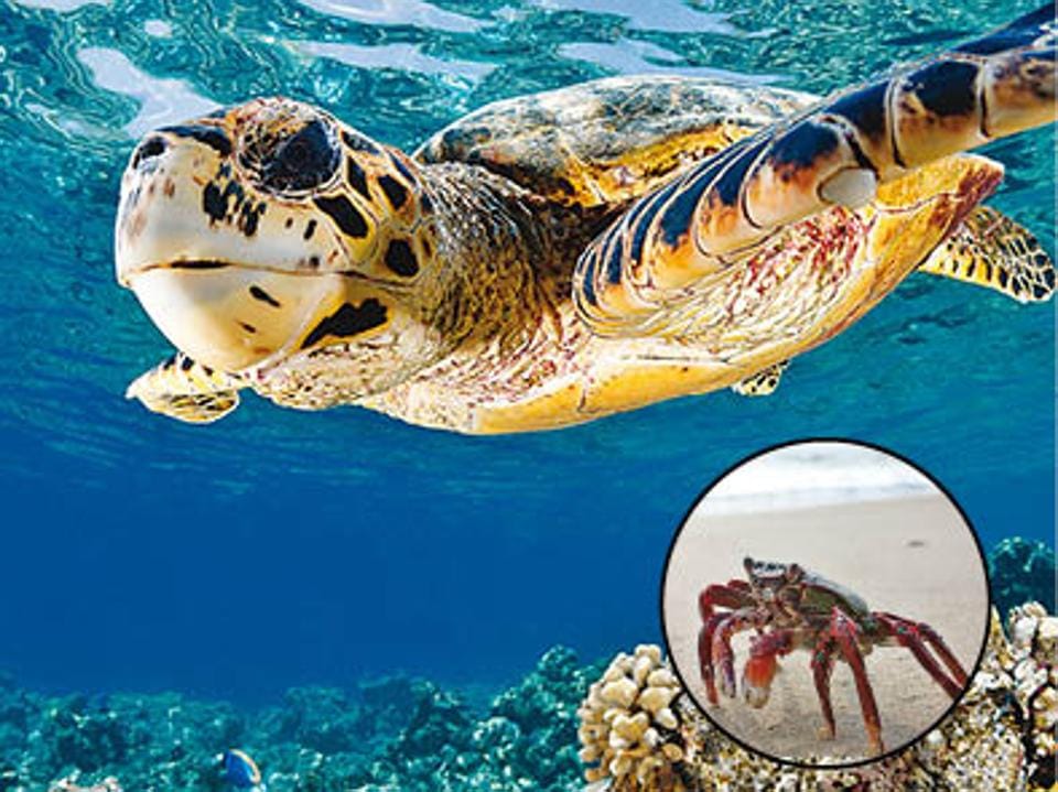 Why Maldives makes for a great family holiday destination