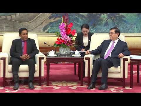 Chairman of the Standing Committee of the National People’s Congress calls on the President