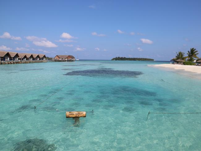The coral nursery COMO Cocoa Island. Picture- Celeste MitchellSource-Supplied