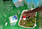 Areca nuts served at health ministry event