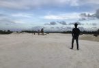reclaimed mangrove swamp