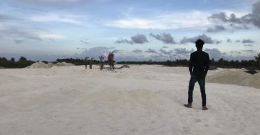 reclaimed mangrove swamp