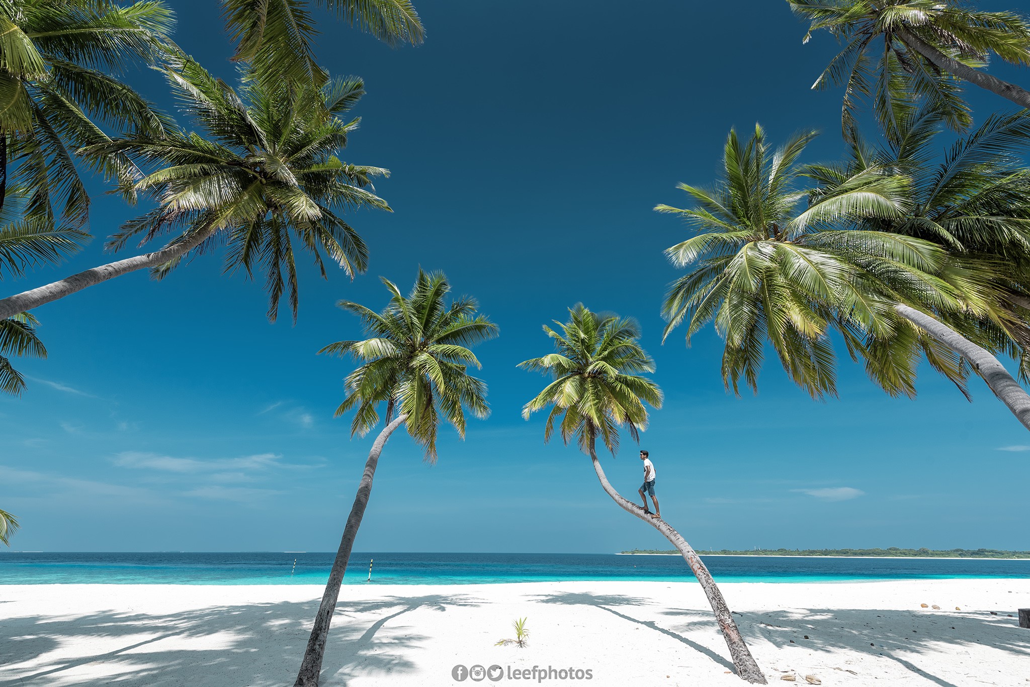 Kinolhas – The Island of High Trees According to Ibn Battuta