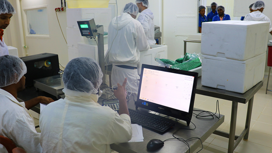 MIFCO Fish Packing Services to Restart in Kanduoih-giri