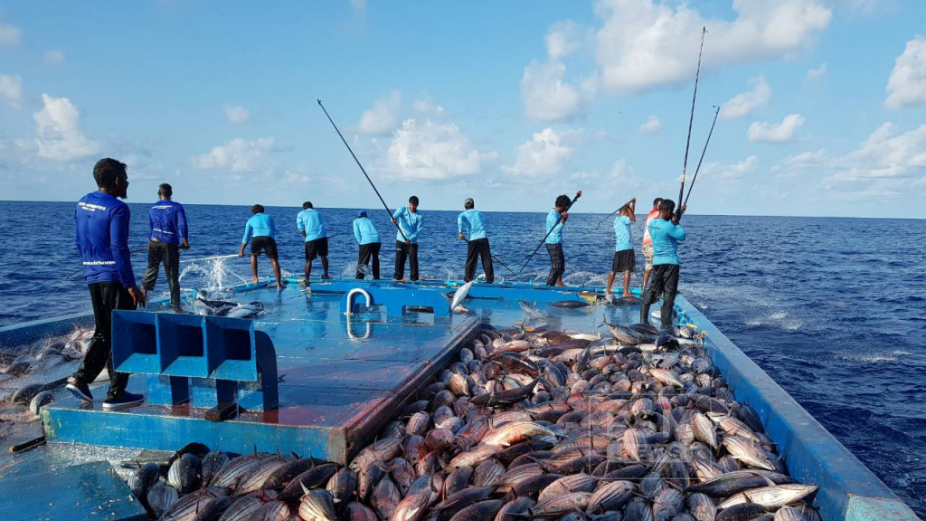 MIFCO Changes Payment Method to Solve Fishermen’s Biggest Problems
