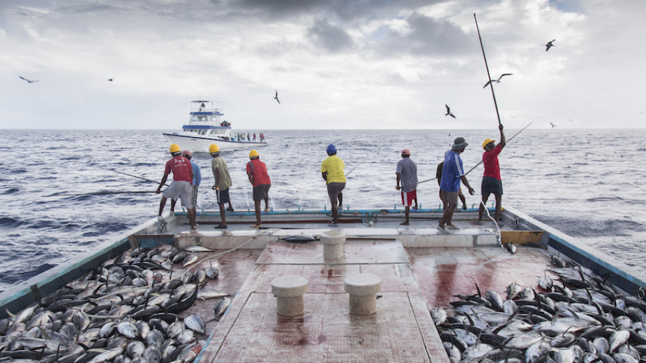 Sri Lanka Assures There Are No Restrictions on Maldives Fish Exports to Sri Lanka
