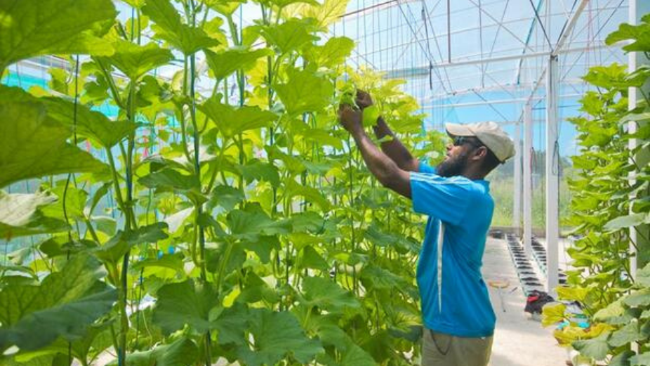 Bid Deadline Extended for 6 Islands to be Leased for Agricultural Purposes