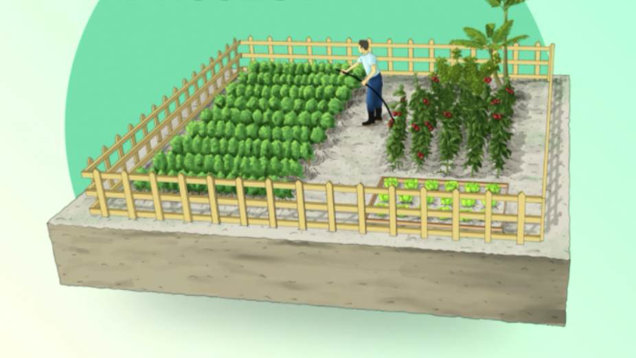 Registration Deadline for HDC’s Community Urban Farming Project Has Been Extended