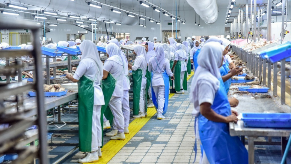 Can MIFCO Recover and Revolutionize the Fishing Industry?