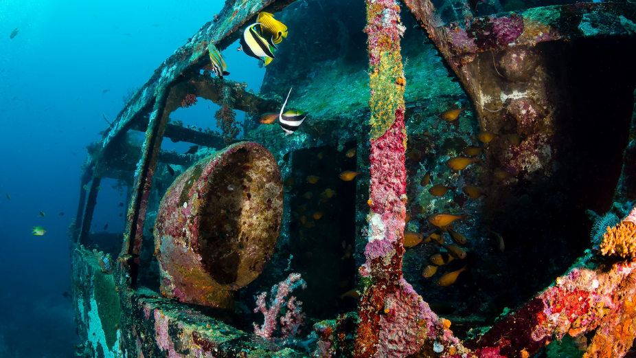 Visit Maldives Takes Part in British Loyalty Wreck Commemoration