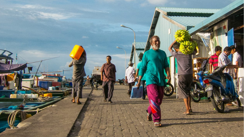 MVR 264.6 Million Disbursed as Income Support Allowance